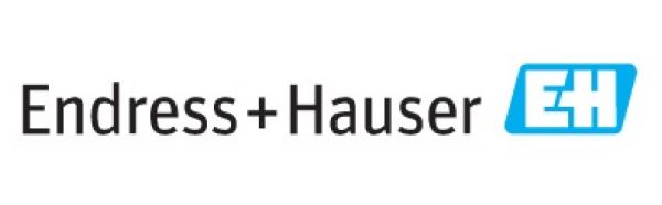 Endress+Hauser